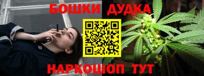 сатива Малгобек