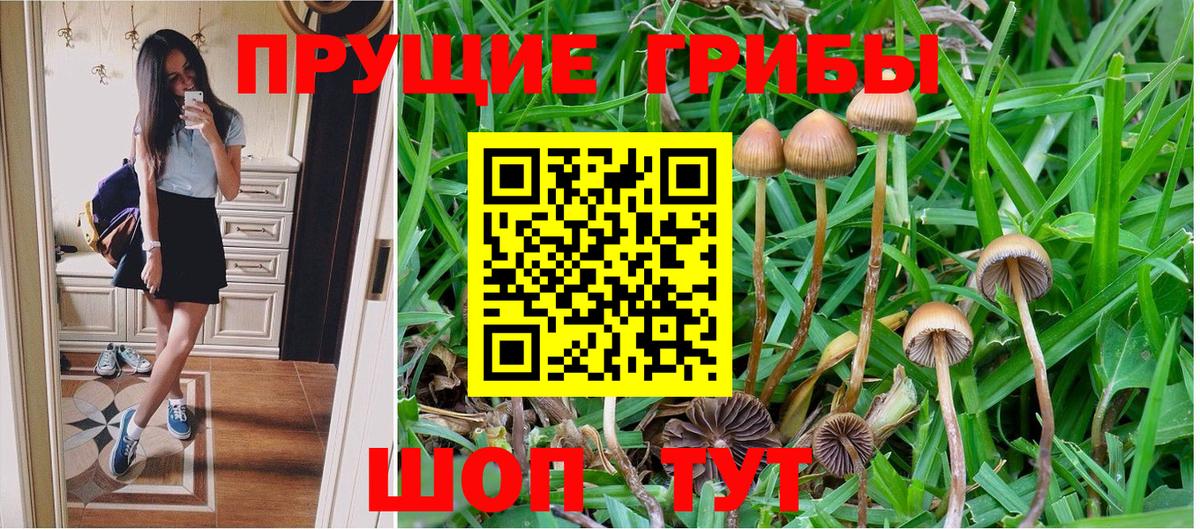 Псилоцибиновые грибы MAGIC MUSHROOMS Вологда